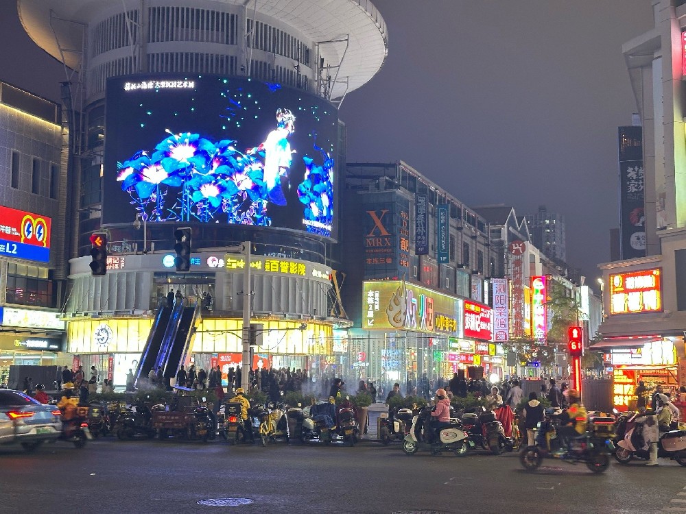 向“新”而行：在确定性中锻造中国经济的韧性与活力