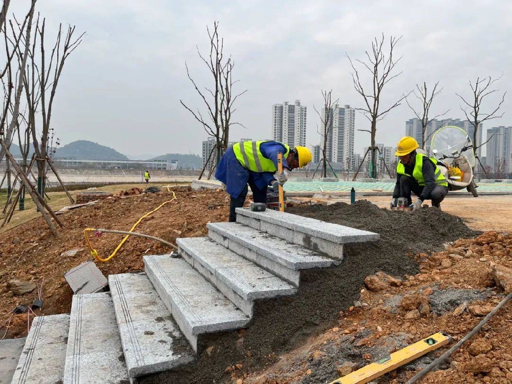 把日子过稳：看清趋势、守住底线、抓住机会