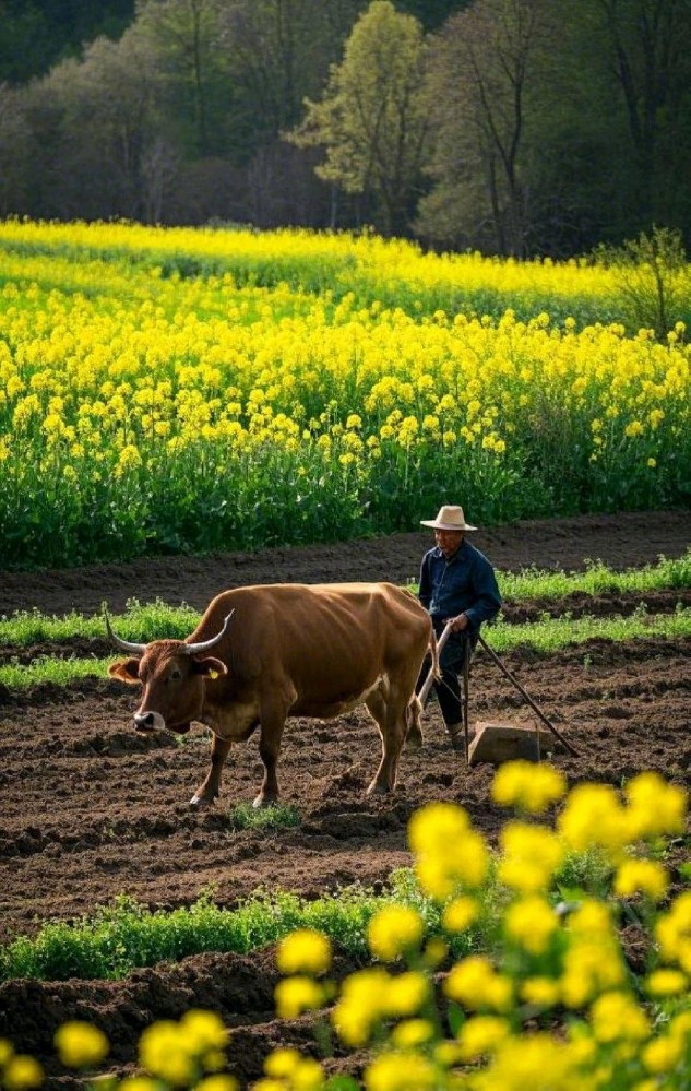 春天别只顾着“一元一分麻将牛牛群”：把身体的“开关”调对更重要