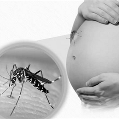 寨卡病毒到底有多大的危害 有什么症状？
